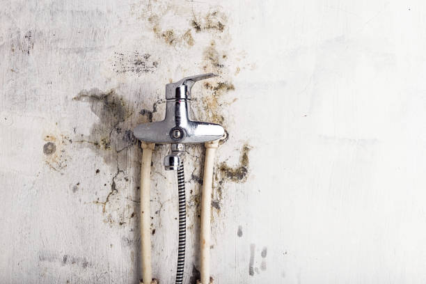 Best Commercial Mold Removal  in Sconsin Dells, WI