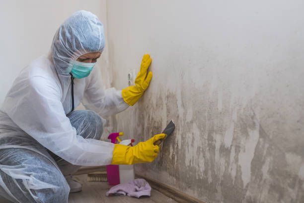 Best Emergency Mold Removal  in Sconsin Dells, WI