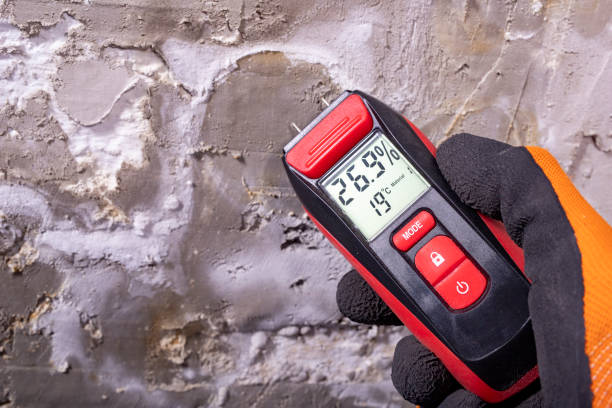 Best Professional Mold Removal  in Sconsin Dells, WI